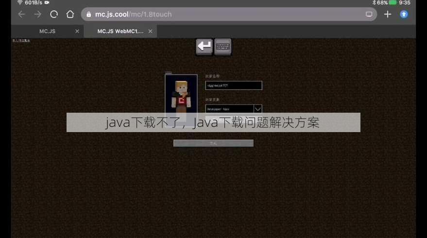 java下载不了
