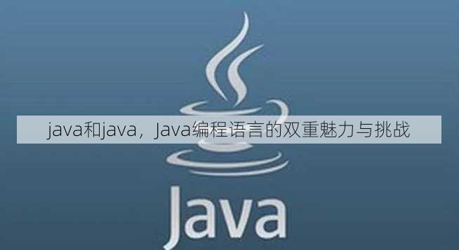 java和java