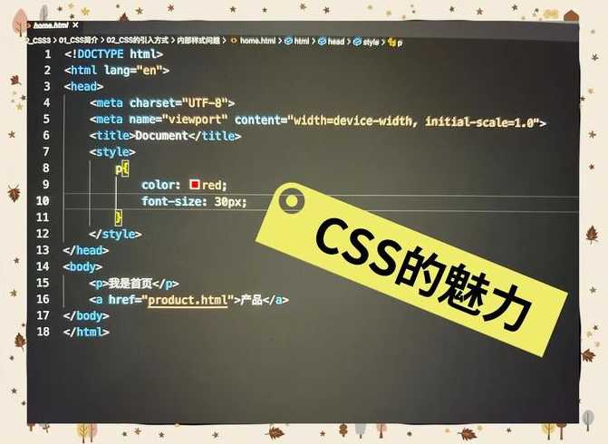 css教程离线版（css教学视频）
