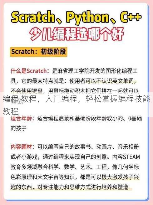 编程 教程
