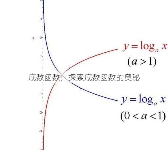 底数函数