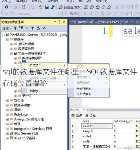 sql的数据库文件在哪里