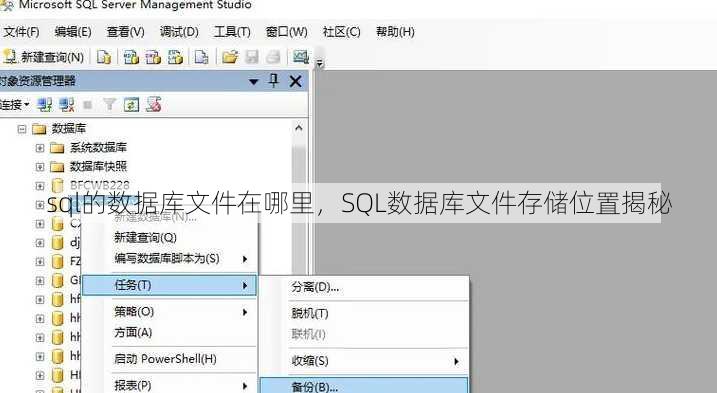 sql的数据库文件在哪里