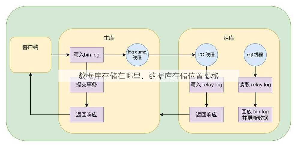 数据库存储在哪里