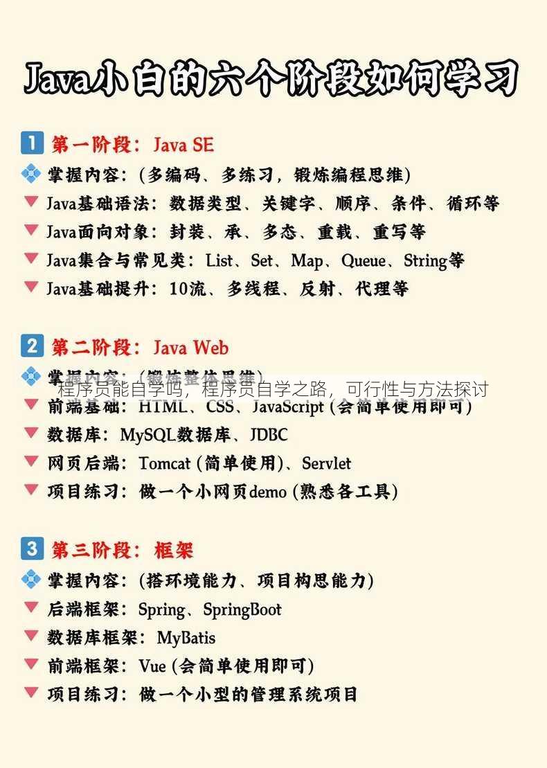 程序员能自学吗