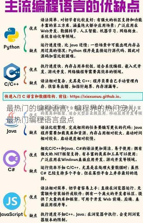 最热门的编程语言