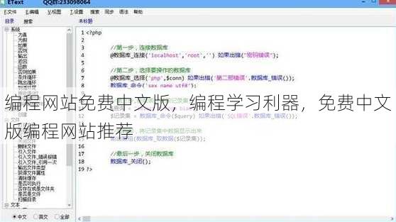 编程网站免费中文版