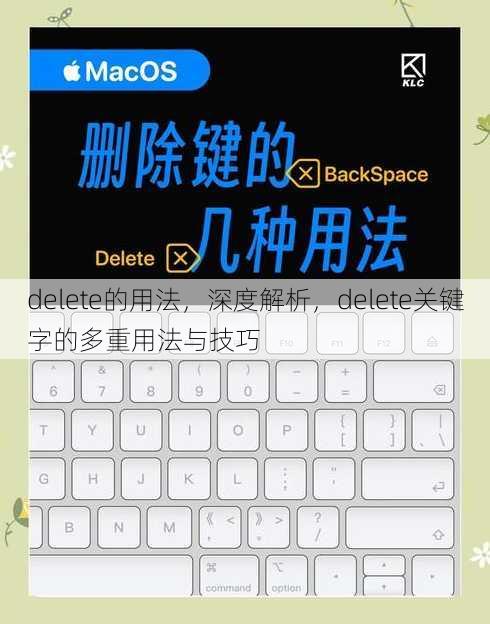 delete的用法