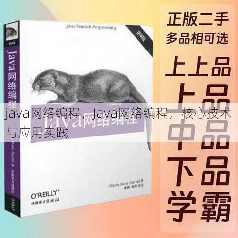 java网络编程