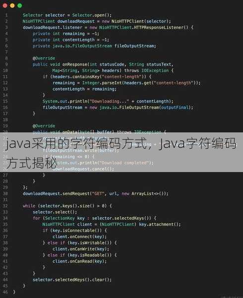 java采用的字符编码方式