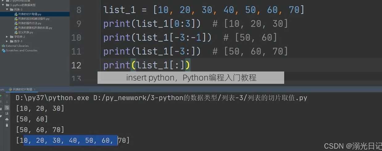 insert python