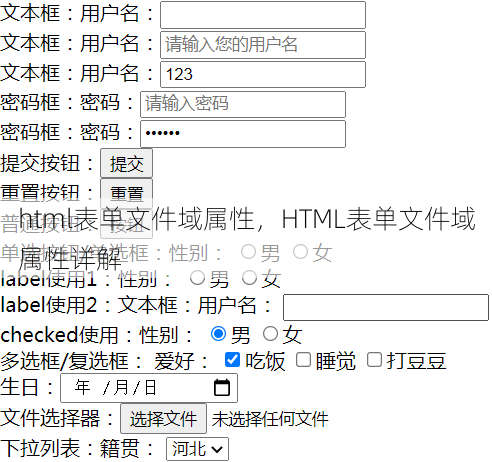 html表单文件域属性