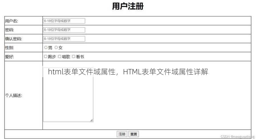 html表单文件域属性