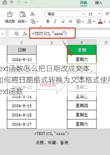 text函数怎么把日期改成文本