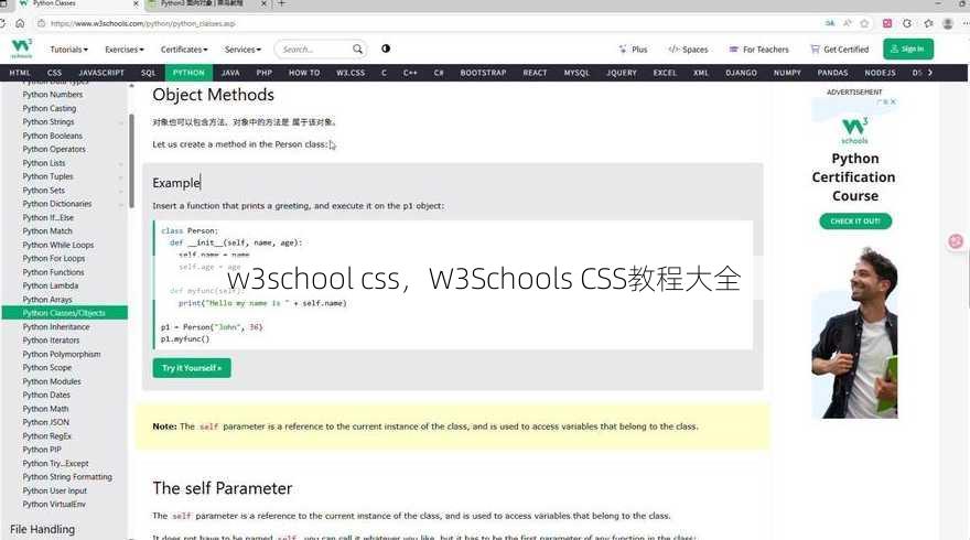 w3school css