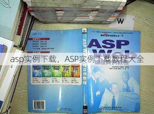 asp实例下载