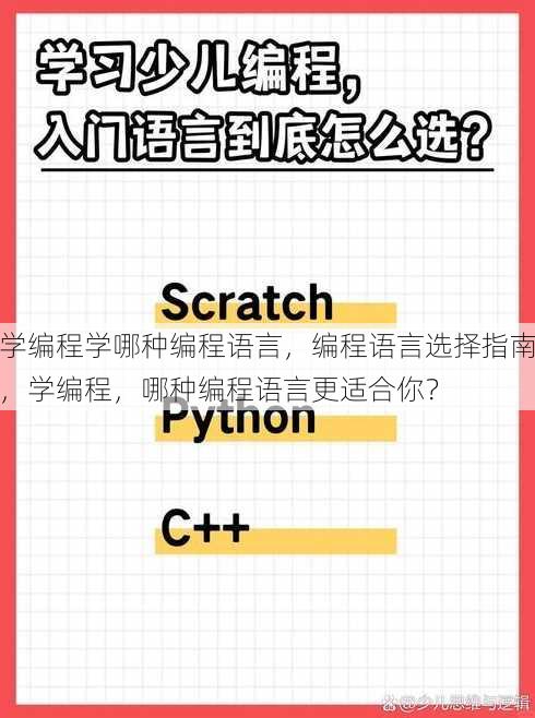 学编程学哪种编程语言