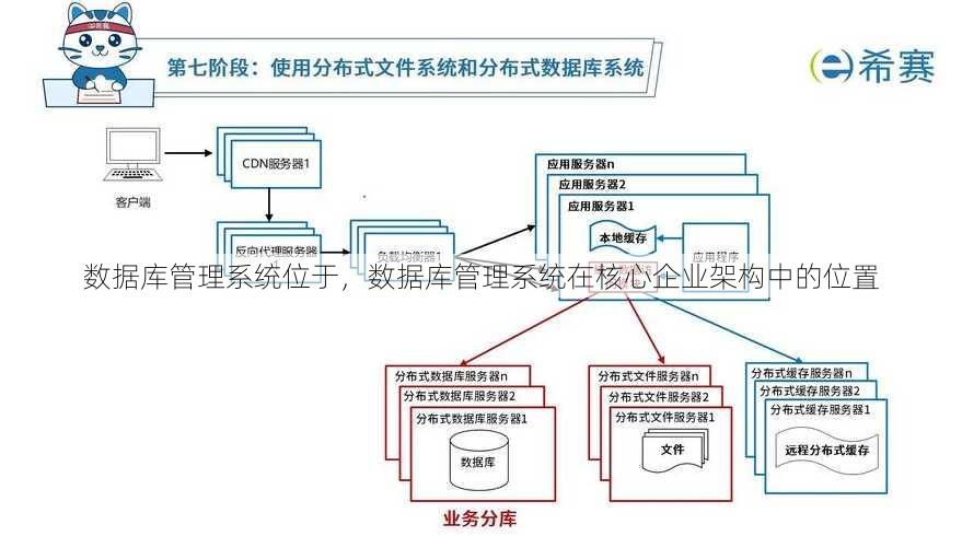 数据库管理系统位于