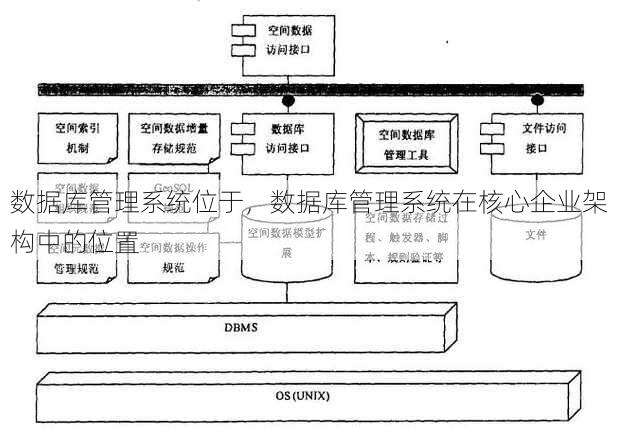 数据库管理系统位于