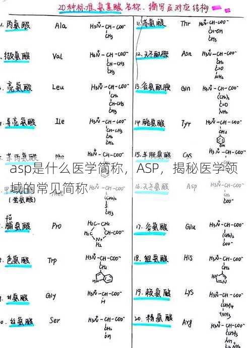 asp是什么医学简称