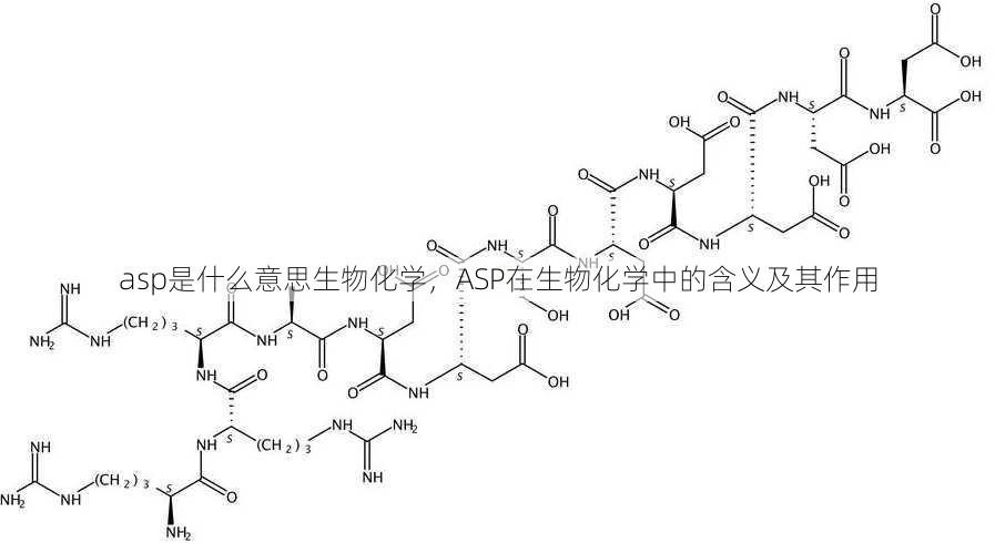 asp是什么意思生物化学