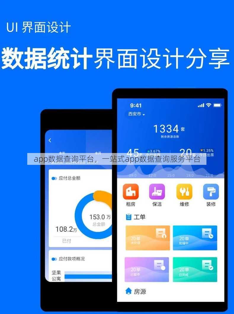 app数据查询平台