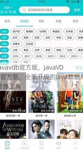 javavdb官方版