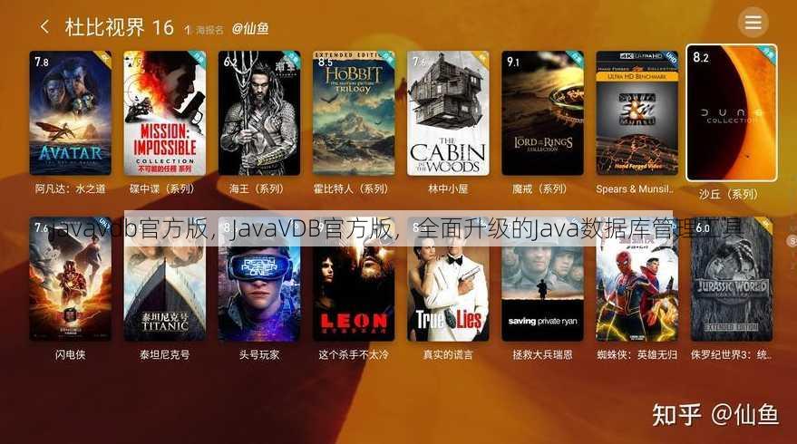 javavdb官方版
