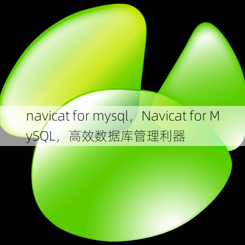 navicat for mysql