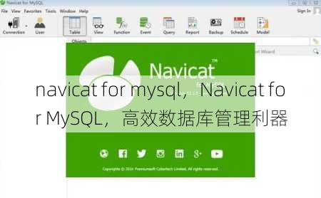 navicat for mysql