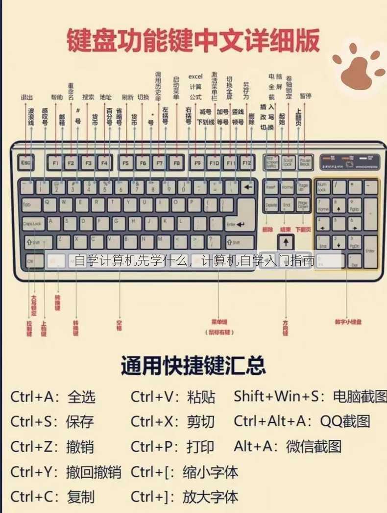 自学计算机先学什么