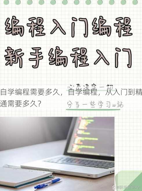 自学编程需要多久
