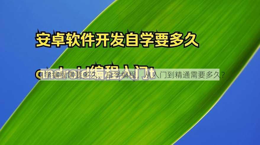 自学编程需要多久