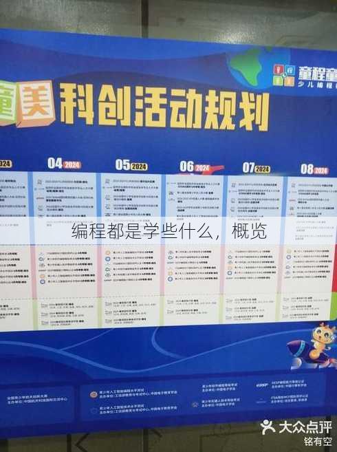 编程都是学些什么