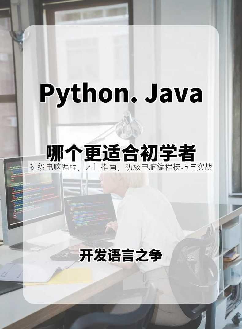 初级电脑编程