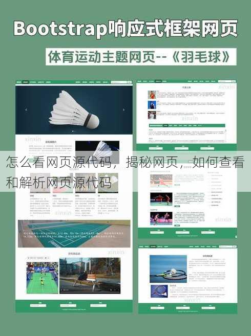 怎么看网页源代码