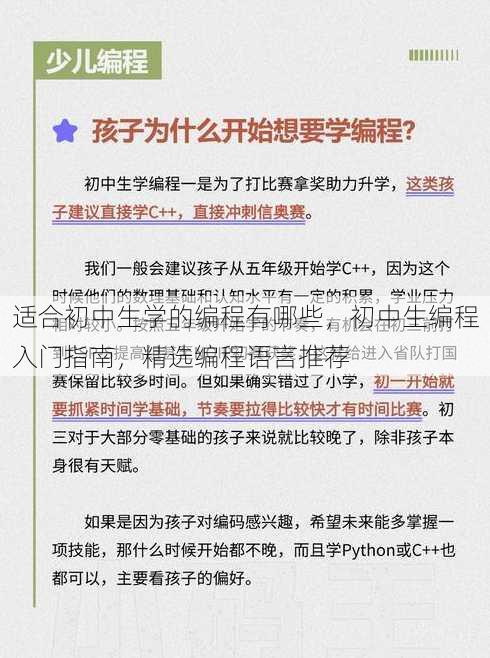 适合初中生学的编程有哪些