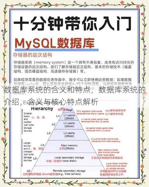 数据库系统的含义和特点
