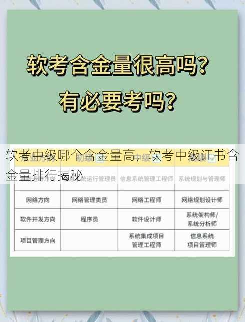 软考中级哪个含金量高
