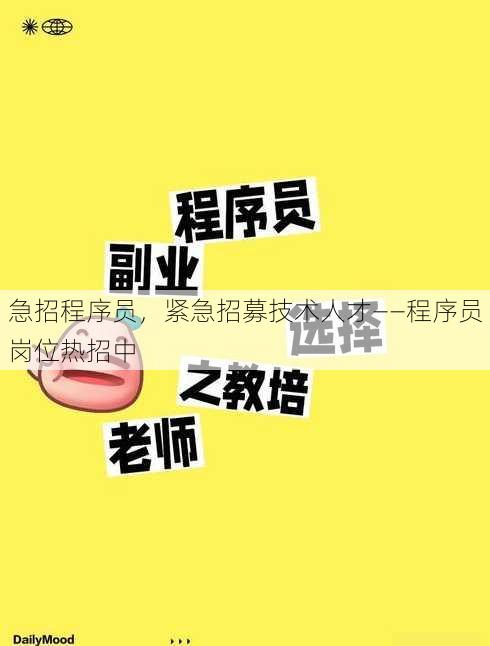 急招程序员