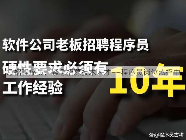急招程序员