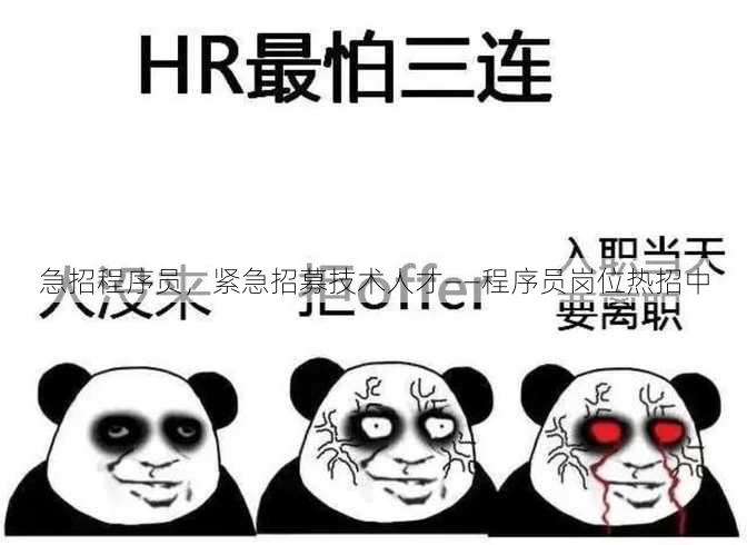 急招程序员