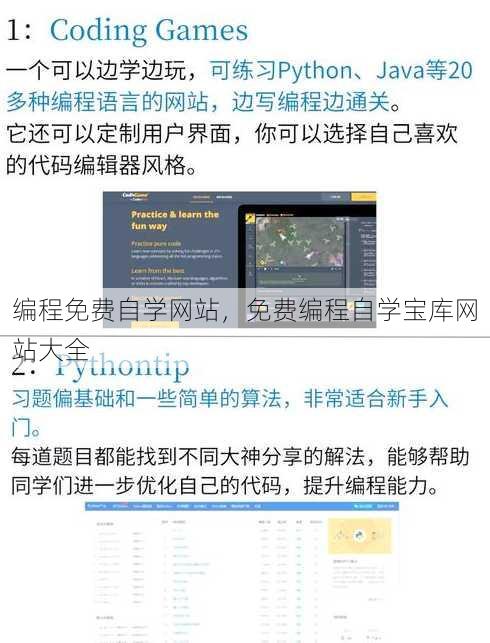 编程免费自学网站