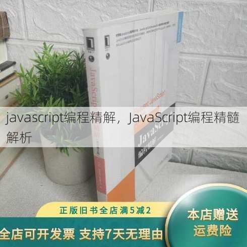 javascript编程精解