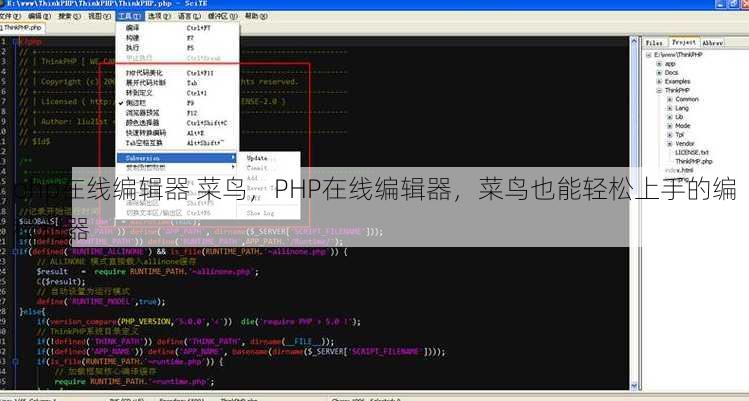 php在线编辑器 菜鸟