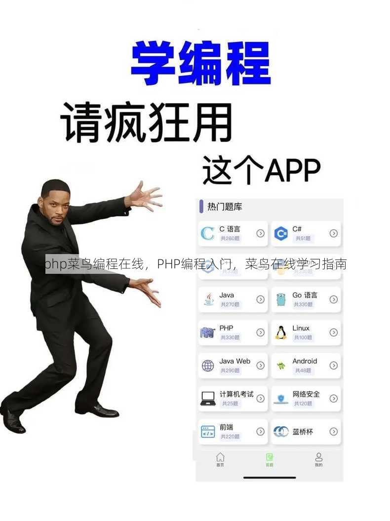 php菜鸟编程在线