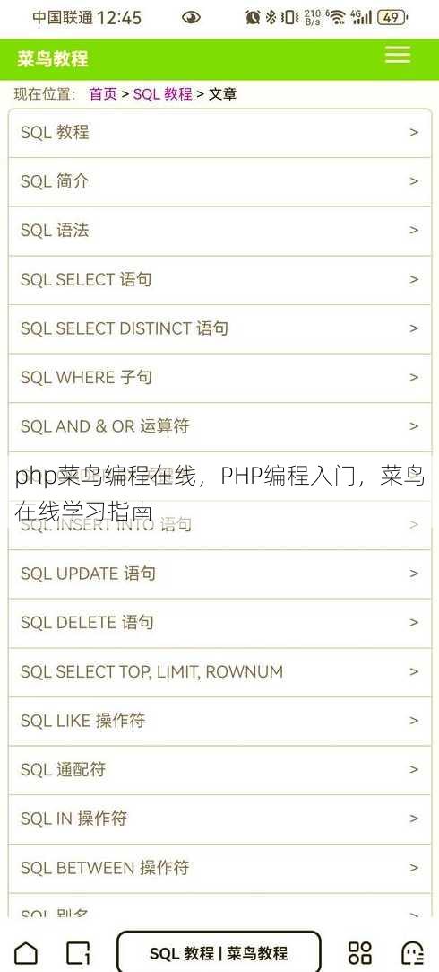 php菜鸟编程在线