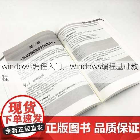 windows编程入门