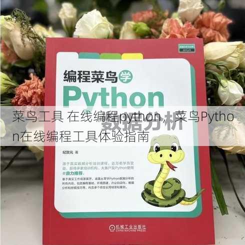 菜鸟工具 在线编程python