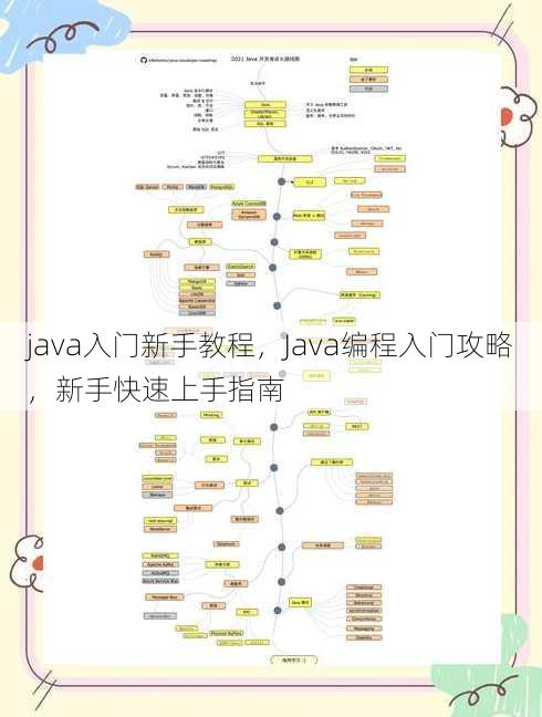 java入门新手教程